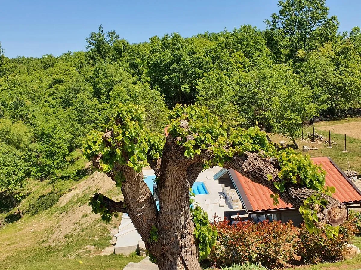 ホテル Casa Dei Boscarini ブイェ イン